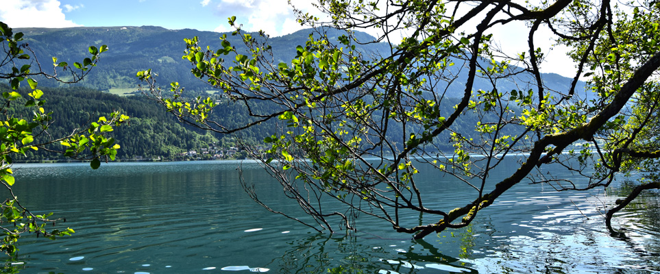 PAUSE.jetzt